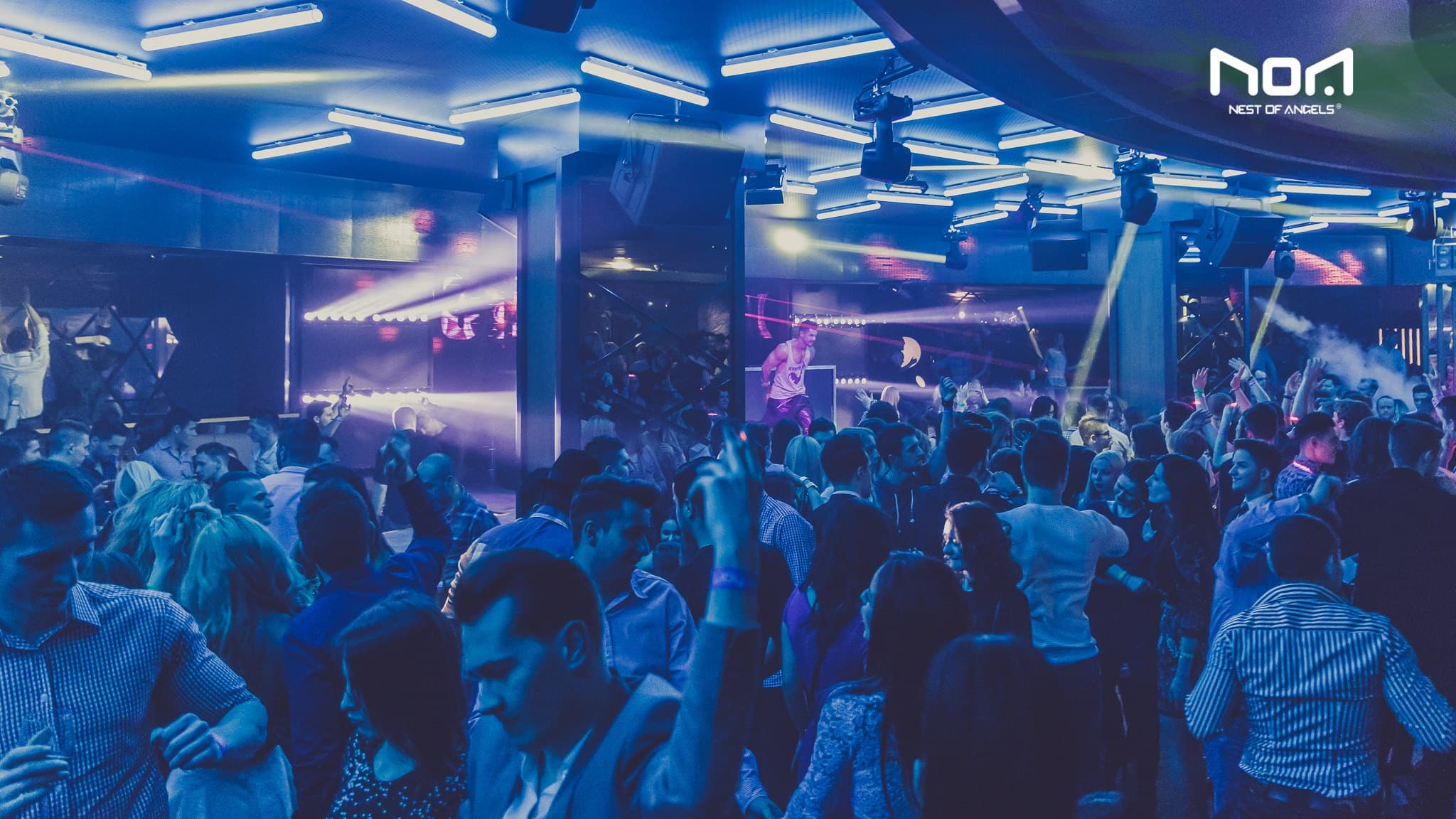 Club NOA – Nest of Angels - Image 3